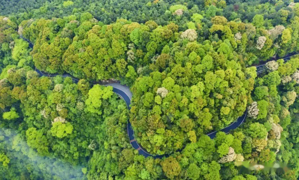 医疗资源和快速的就医渠道