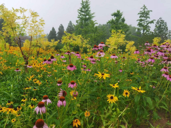 这家精神病人托管托养机构 把人萌翻了